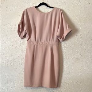 ASOS Pink Sheath Dress with Dolman Sleeves